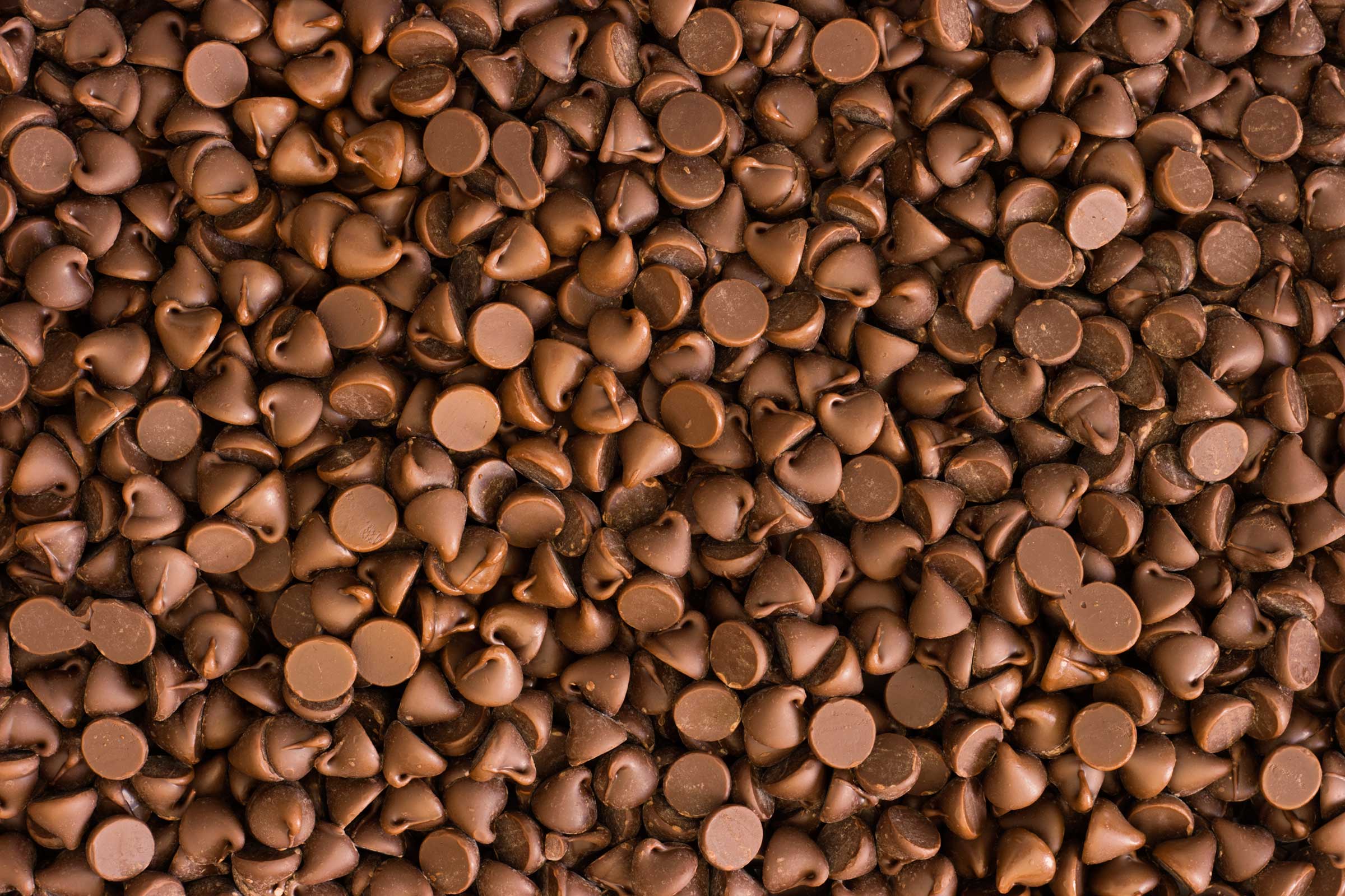 cara membuat choco chip