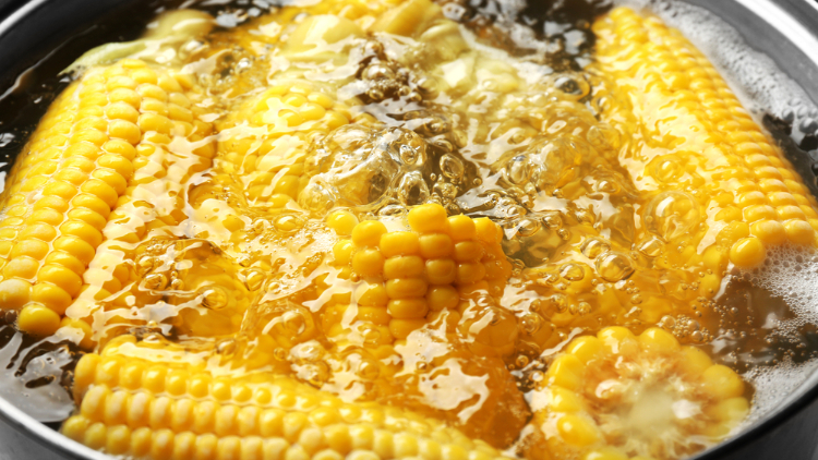 cara memasak jagung manis