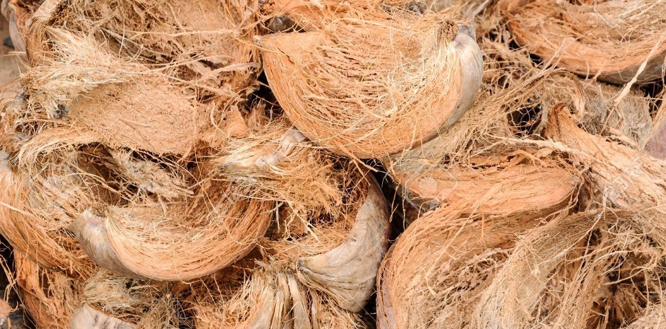 pengertian sabut kelapa