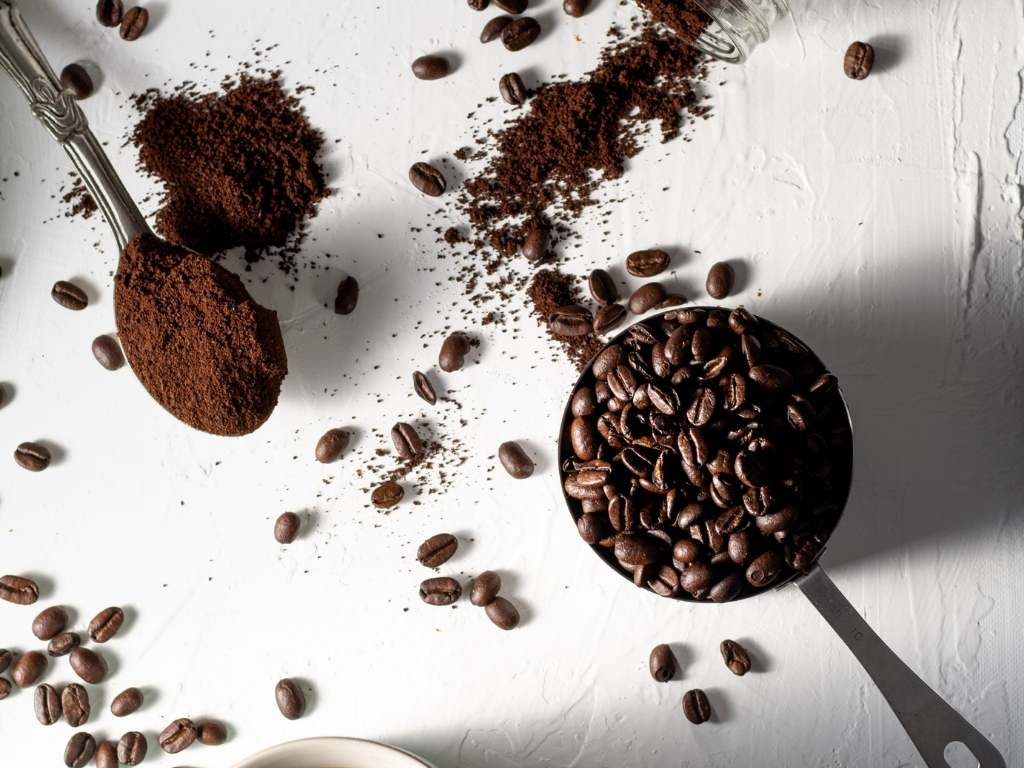 pengertian kopi