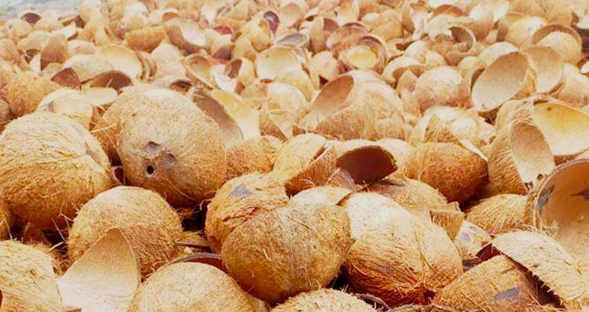 peluang memulai usaha briket