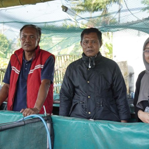 pelatihan pra purnabakti